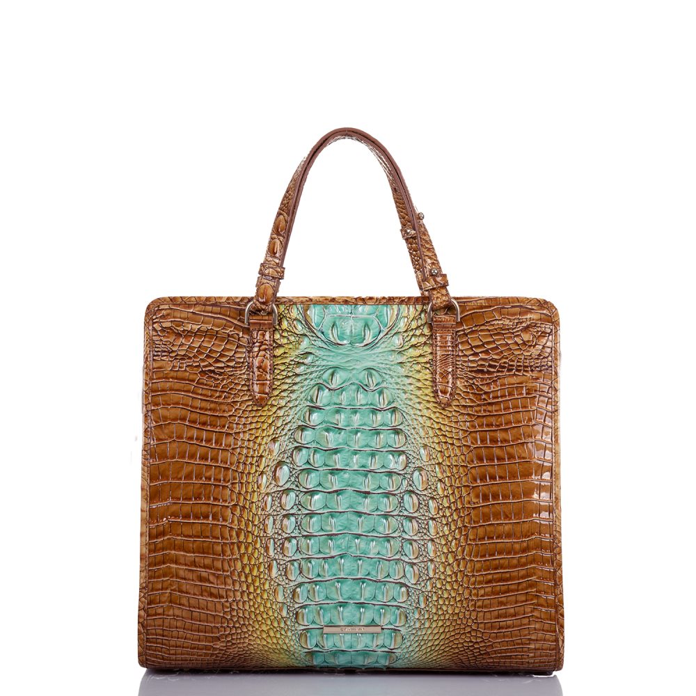 Brahmin | Women's Tia Cactus Ombre Melbourne