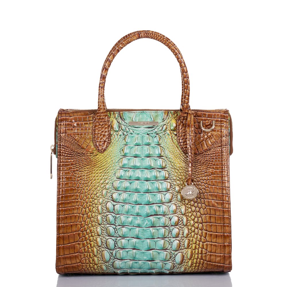 Brahmin | Women's Caroline Cactus Ombre Melbourne