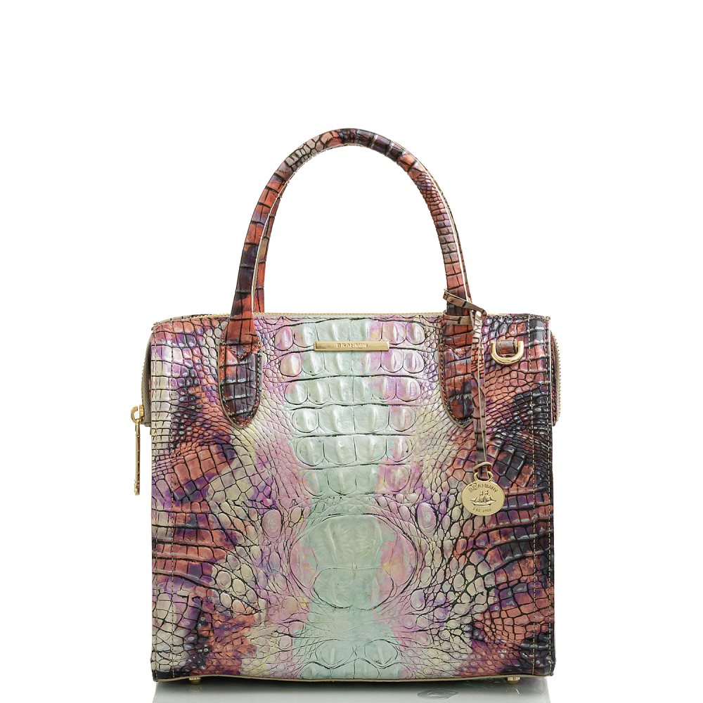 Brahmin | Women's Small Caroline Supernova Ombre Melbourne