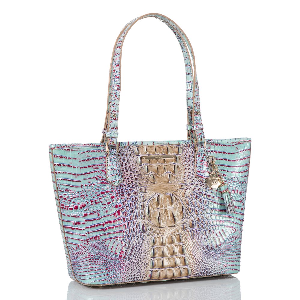 Brahmin | Women's Medium Asher Seltzer Ombre Melbourne