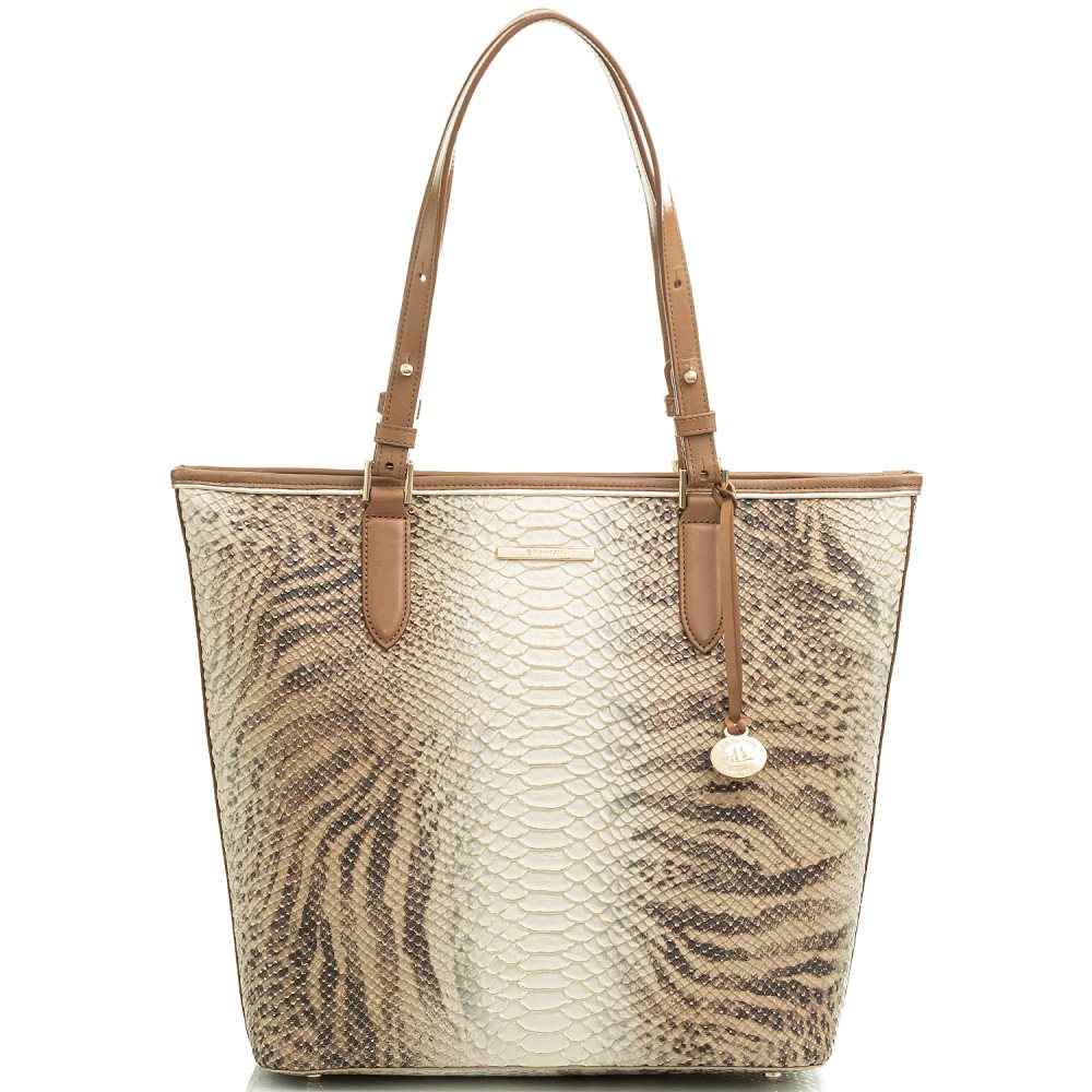 Brahmin | Women's Asher Cappuccino Delancy