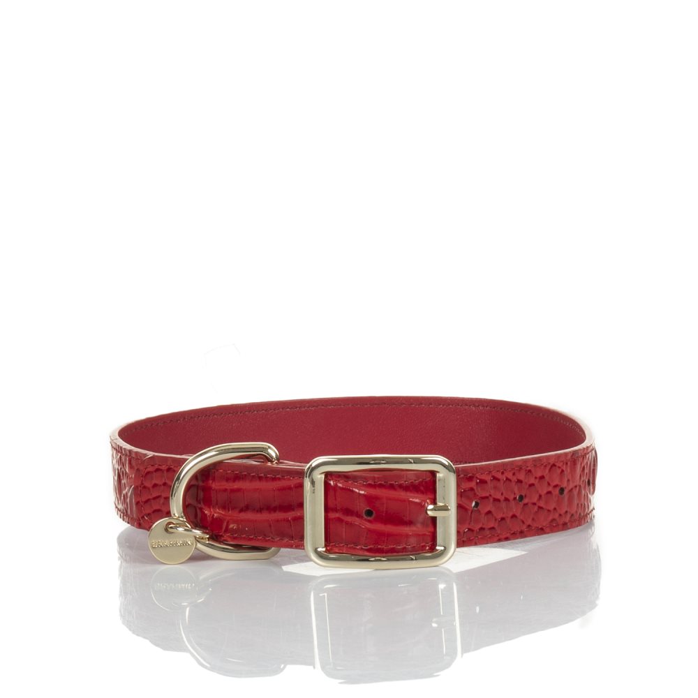 Brahmin | Women's Large Pet Collar Carnation Melbourne