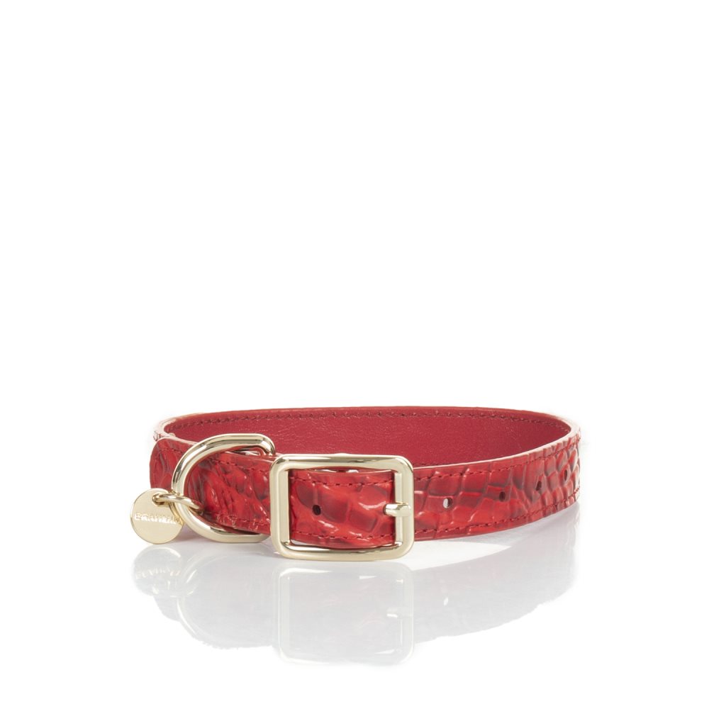 Brahmin | Women's Medium Pet Collar Carnation Melbourne